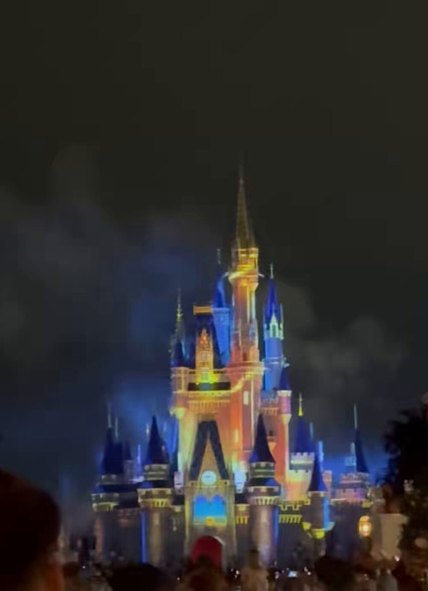 ディズニー・ワールド マジック・キングダム ナイトショー！ ハッピー・エバー・アフター！ 夢のよう… 待ってて良かった… 声は入れないよう務めてたのに 最後についつい…