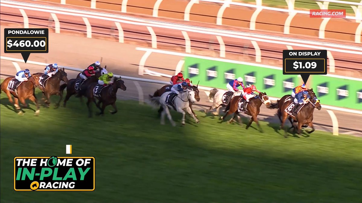 WOW! Who caught this at Flemington? 😳 Pondalowie traded $1,000 before beating On Display, who had $6k+ matched at $1.01. Racing.com