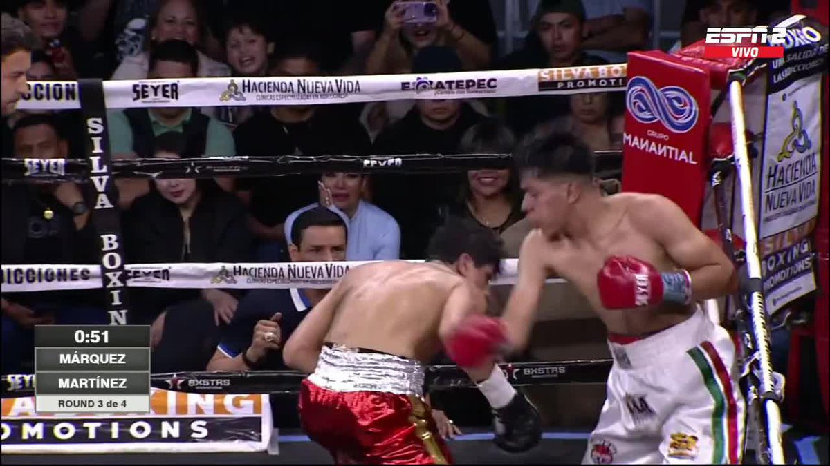 ¡CON TODA LA INTENSIDAD! Rafa Márquez no pierde detalle de la pelea de su hijo Gritando y coacheando a su hijo Aaron desde la esquina Disfruta por ESPN Knockout y #DisneyPlus