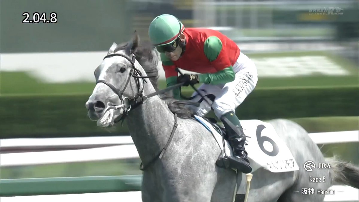 【🐴完全にゴルシ!】 / #マイネルグリモア 🐎 父そっくりの走り! \ 最後方から一気に捲る! 父 #ゴールドシップ の再来とファンも騒然🔥 📺ABEMA de グリーンチャンネル