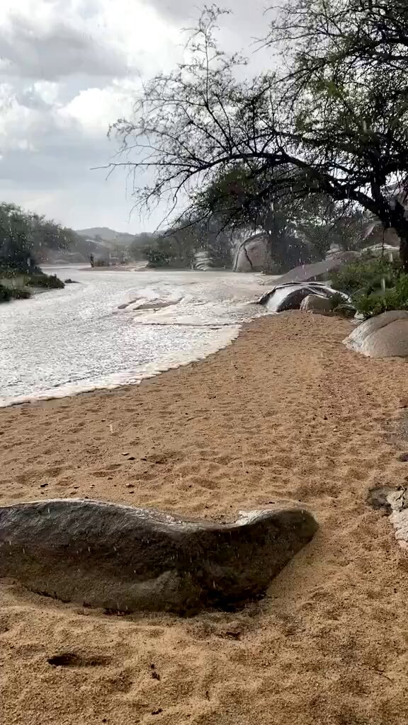صبحكم الله بالخير و الرضا ♥️🙏 يازين الوسم و يا زين طاريه 😍 فقط المتبقي قرابة الشهر