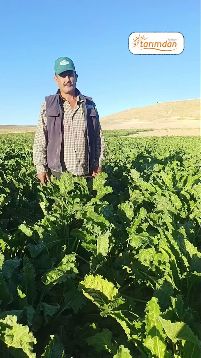 Pancar çiftçisi tarladan isyan etti: Elektrik maliyetinden kaçıp güneş paneli kurdu, 135 bin lira ceza geldi! 📍 Yozgat / Yenifakılı Çiftçi: “Ben ucuza üretmeye çalışıyorum. Kendi paramla güneş paneli kurmuşum, gelip 135 bin lira ceza yazıyorlar. Tarım Bakanının bundan haberi yok mu?” Pancar üreticisinin içinde bulunduğu çıkmazı ise şu sözler özetledi: “1 litre su 20 lira. 1 litre su alabilmek için 7 kilo pancar satmamız gerekiyor. Arkadaşlar, zararına üretiyoruz.” 🎥 Yozgatlı pancar çiftçisinin tarladan yaptığı bu çağrıyı gelin birlikte dinleyelim…