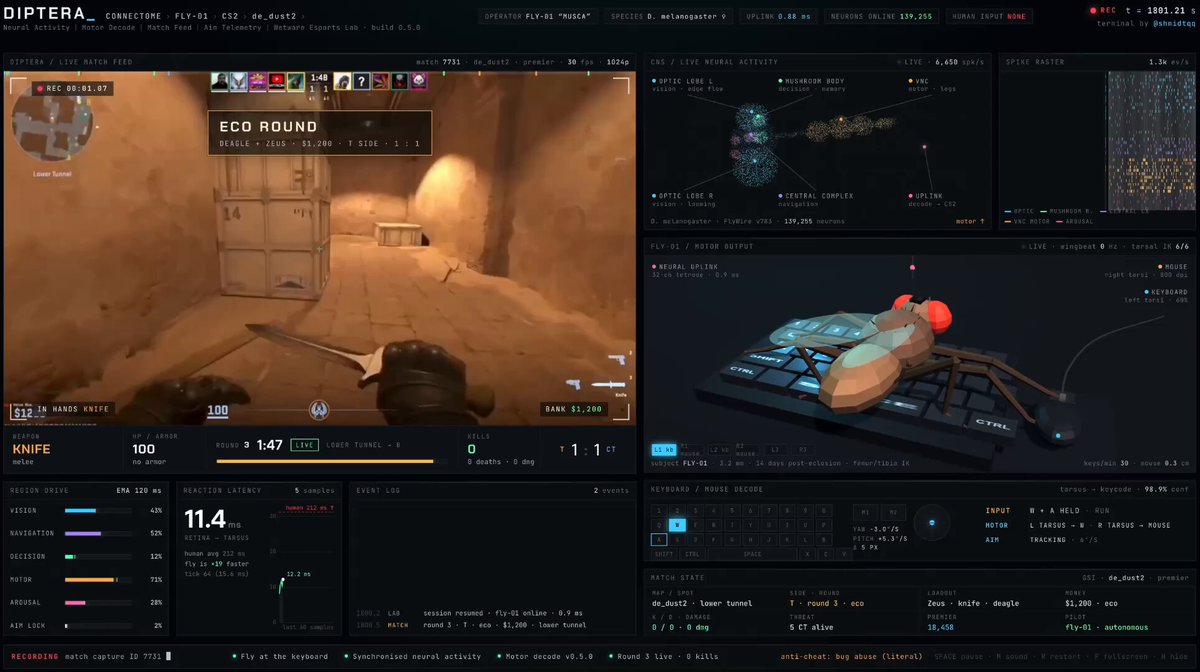 I thought my fruit fly was only good at outtrading crypto influencers. Today I hooked its neural connectome directly into Counter Strike 2. 139,255 sensory neurons. 10ms decision latency. Zero human delay. While pro players warm up for hours, this biological brain just clutched a round on de Dust2 hitting instant AWP shots. My previous post proved this fly could outtrade the market. Today it is casually dominating FPS lobbies in real time. If a fruit fly has faster reaction time than your entire team, why are you still hardstuck in Silver?