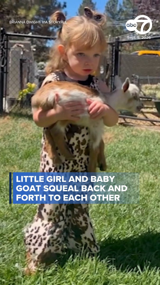 A heartwarming video captures the priceless moments between a little girl and a baby goat who appear to speak the same language. The girl's mother says her father died when she was just eight days old, and she believes the interaction is a blessing from her late dad.
