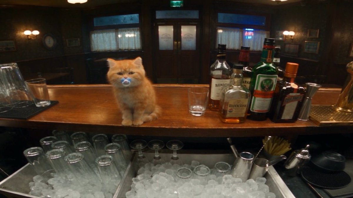 Breaking the laws of physics just so I can pet the orange cat one more time Ai haters will say it takes zero effort, but honestly I'm just impressed this didn't melt my GPU