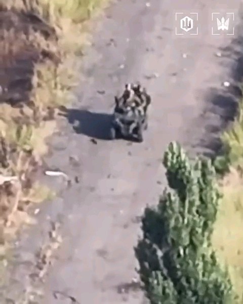 🚨#Urgente | ¡Wao! Queda captado el momento en el que una patrulla motorizada rusa es impactada por un dron Ucraniano. #Noticias #Noticiasdelaguerra #Noticiasdigital #KelvinVallejo #Rusia #Ucrania
