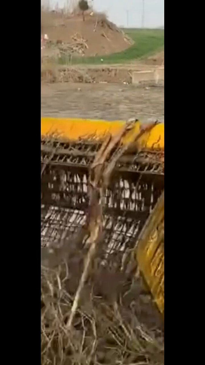 He caught the ice fish in the bucket of a large excavator. This is the first time I've experienced it like that