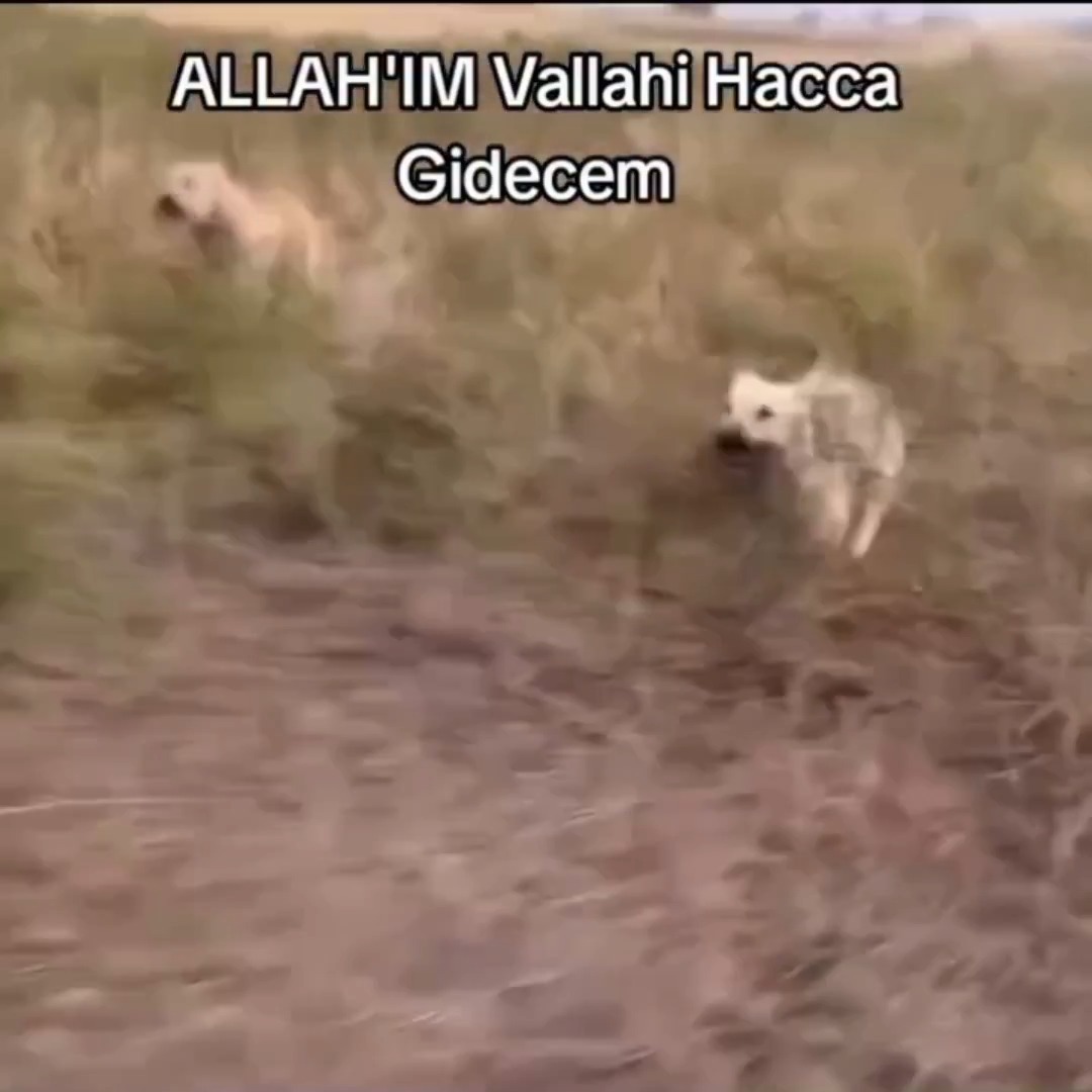 Umarım benzini bitmemiştir :)