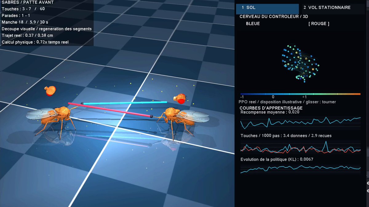 This is just a casual Monday. I'm just teaching two fruit flies to fight each other with lightsabers using reinforcement learning &amp; their brain connections. Life &amp; AI are cool.