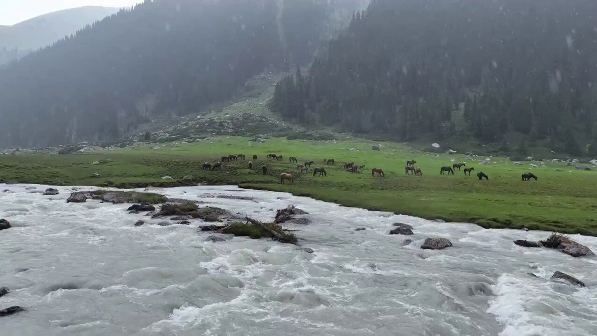 best shot forever much beautiful view in rain therapy