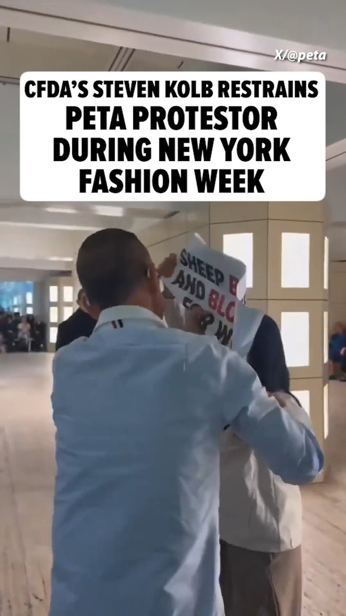 Steven Kolb, CEO of the Council of Fashion Designers of America, was captured on camera restraining a PETA protester during New York Fashion Week. 🎥: X/peta