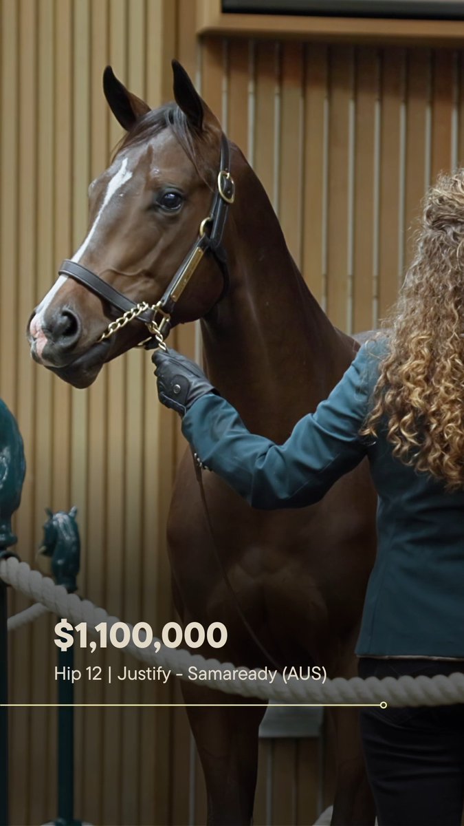 The first million to hit the ring today is a Justify colt half-brother to Australian champion Shinzo! Four Star Sales consigned hip 12, sold to Japanese trainer Haruki Sugiyama for $1.1 million. #KeeSept