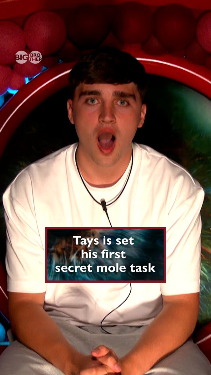 Who will Tays choose as his partner in crime? 😏 #BBUK