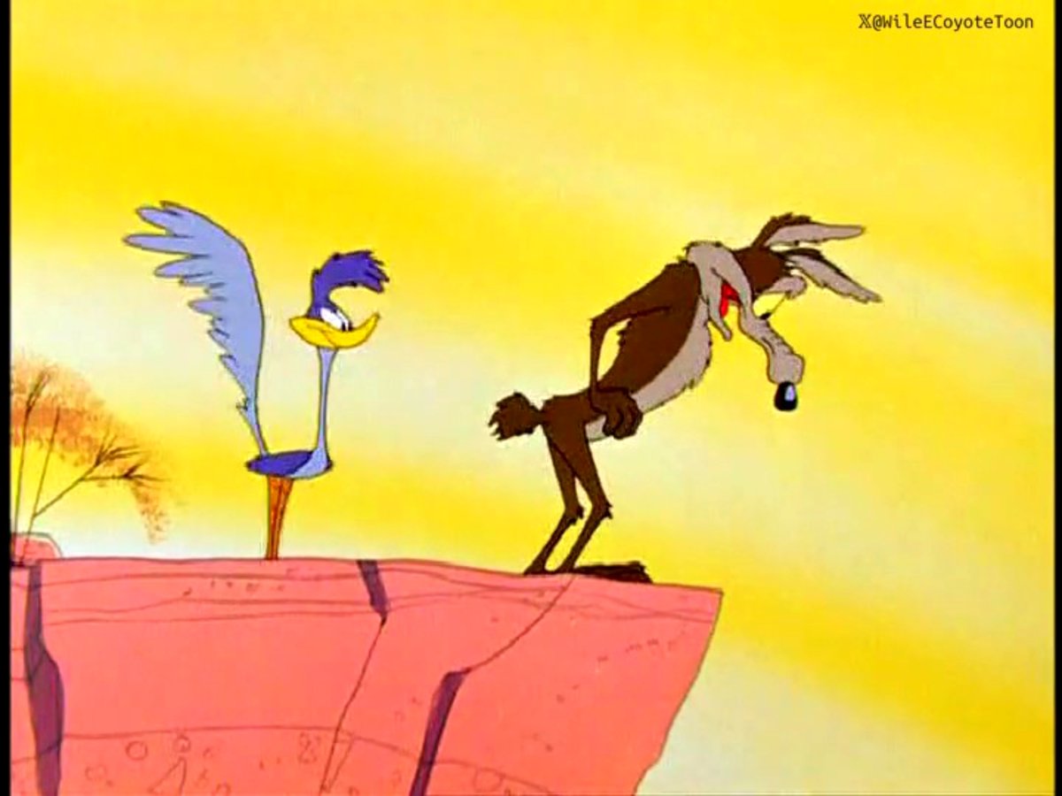 The road runner will give me a heart attack someday 😭