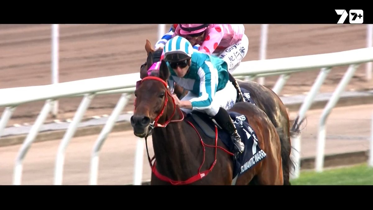 7 HORSE RACING IS GOING GLOBAL 🌍 Prix de l'Arc de Triomphe ✅ Breeders' Cup ✅ Hong Kong International Races ✅ The World's best races are live and free on the screens of 7!