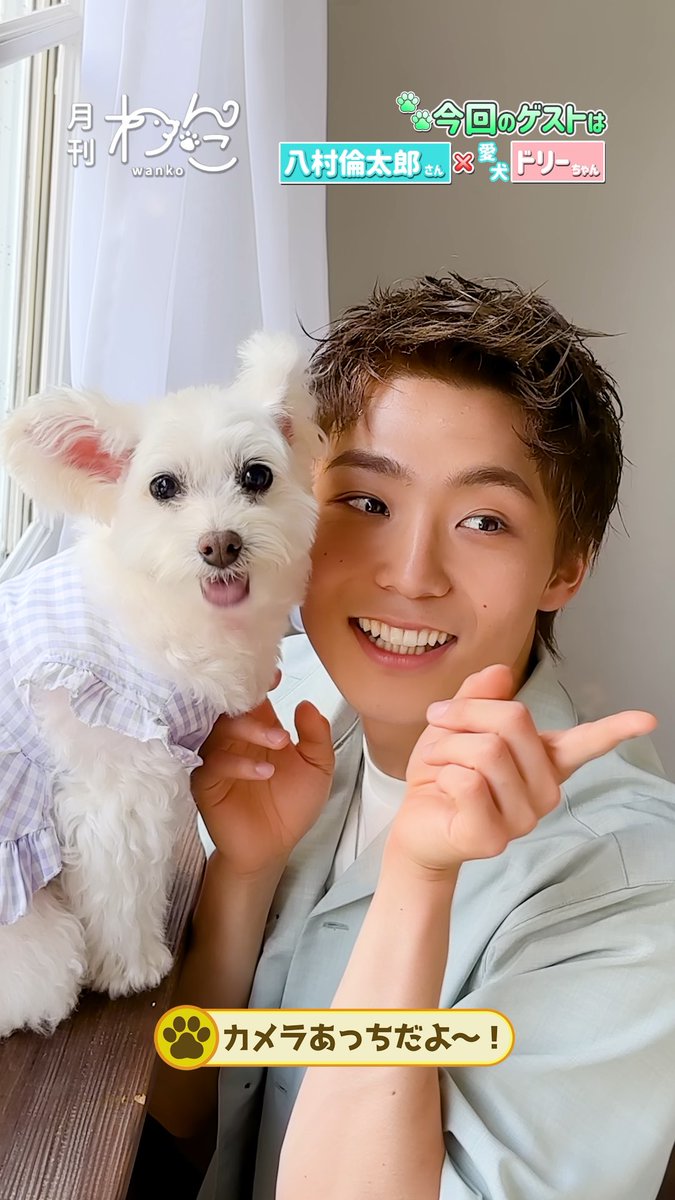 【YouTube】配信しました!🐶 八村倫太郎さんと愛犬ドリーちゃんが一年半ぶりに遊びにきてくれました!(月刊わんこ撮影オフショット) 本編はYouTubeへ→ YouTubeより #WATWING #八村倫太郎 #ポメプー