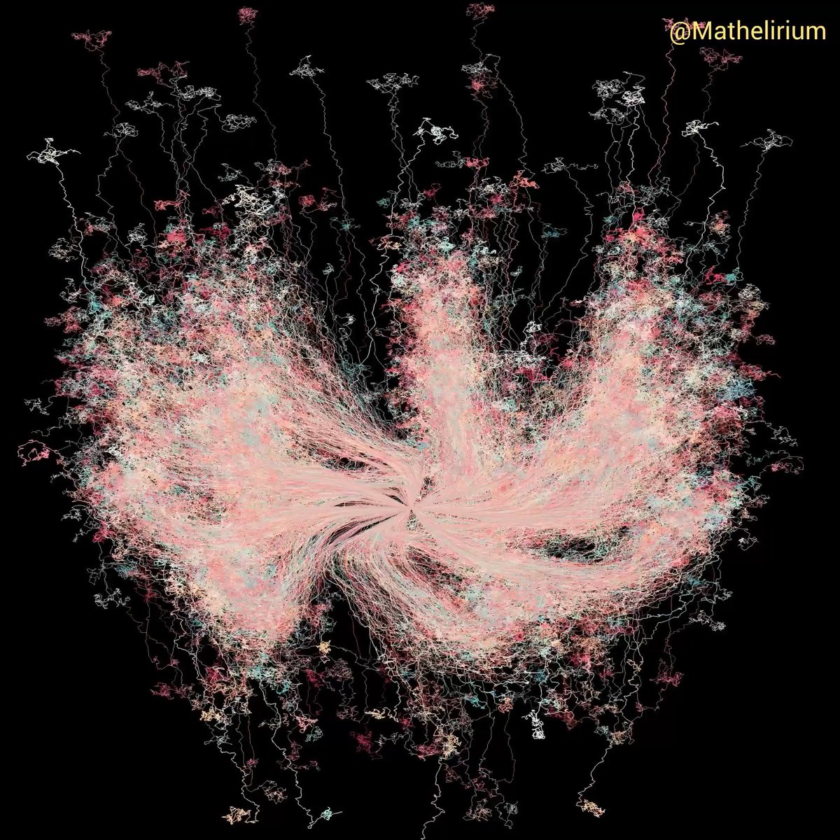 A mathematical rule this simple should not look this alive Thousands of Collatz trajectories are folded through symmetry and grow into something thats almost botanical... ordered, delicate and strangely natural. Nome of this proves the Collatz conjecture, of course, but it is striking to see so much structure come from a problem that still resists proof. Maybe AI systems will crack this one.