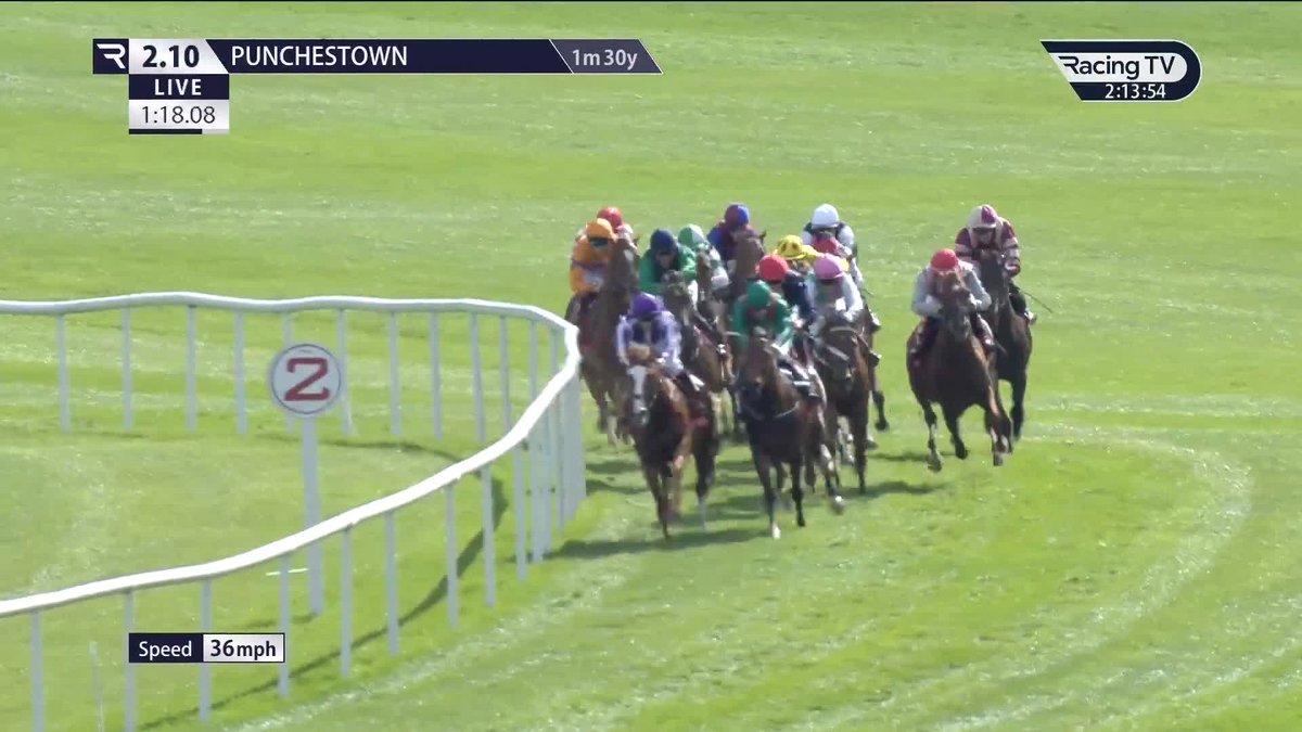 👀 Noble Exhibit (Frankel) ran behind the exciting Monogram on debut last time and wins as he likes second-time out under Wayne Lordan for Aidan O'Brien Punchestown