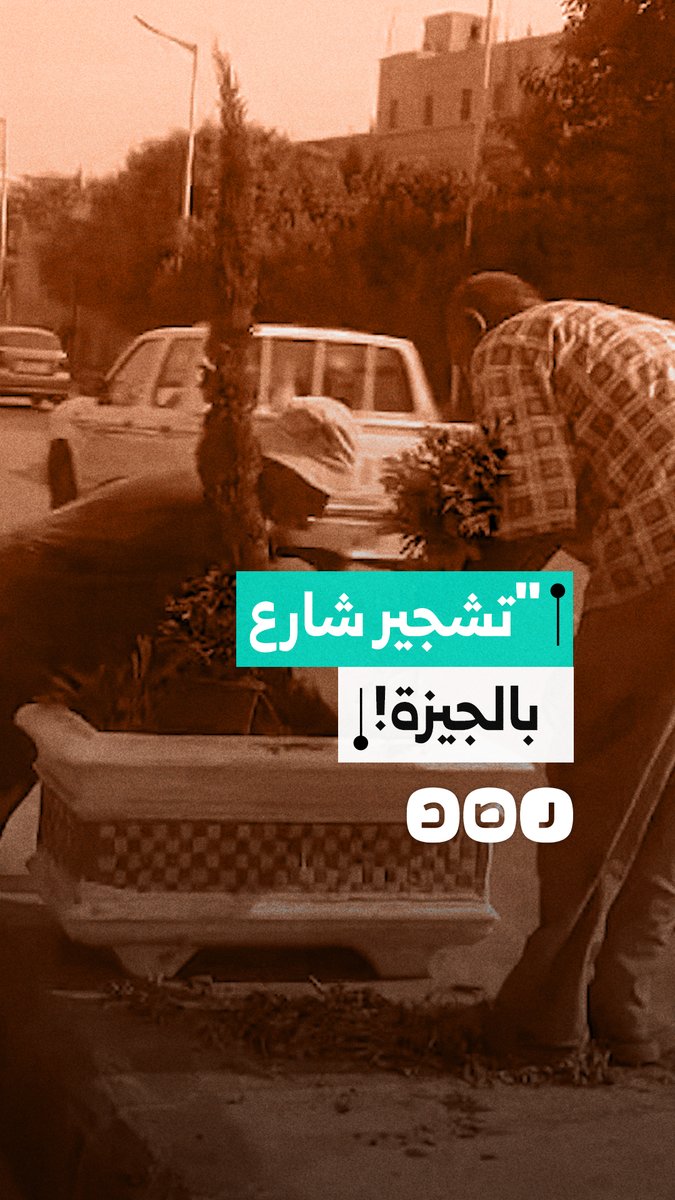 تداول مشاهد لعملية تشجير شارع البحر الأعظم حي جنوب في الجيزة
