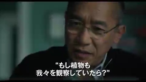 #トニー・レオン 主演『#静かな友人』日本版本予告&ティザーポスターが解禁🎊ドイツの学園都市にある植物園で、1本のイチョウの木を軸に3つの時代の人々の人生が交錯するミステリー🎞️『心と体と』#イルディコー・エニェディ 監督!12月4日公開! #レア・セドゥ