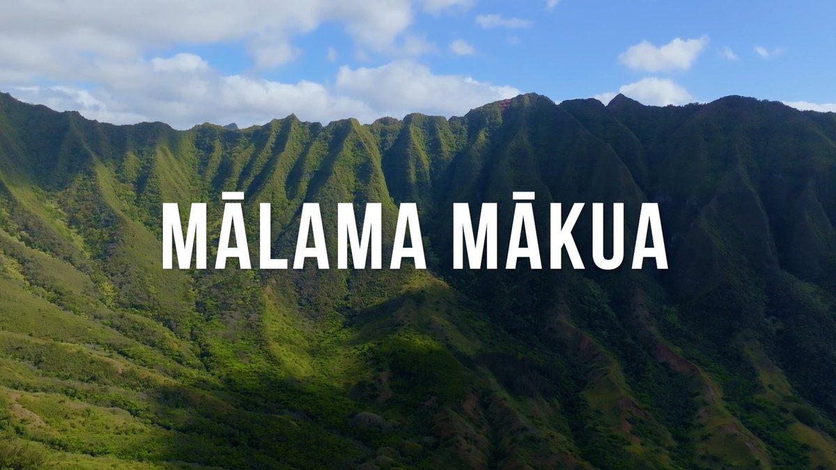 I spent the past four years working on my first feature film, “Mālama Mākua”. It is the best work I’ve ever done and probably among the best I’ll ever do. For those of you who live in the U.S. you’ll have multiple chances to see it in person this year and next year!