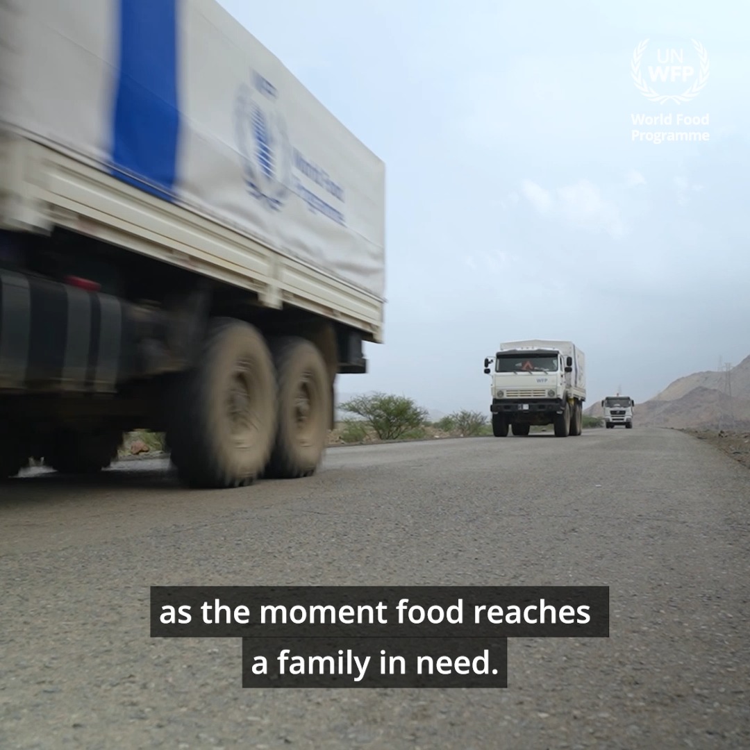 🛑What does it take to fight hunger? To understand who is most affected and where needs are greatest, WFP teams use evidence to guide action and reach the right people. Learn more from our food security analyst Moctar ⤵️