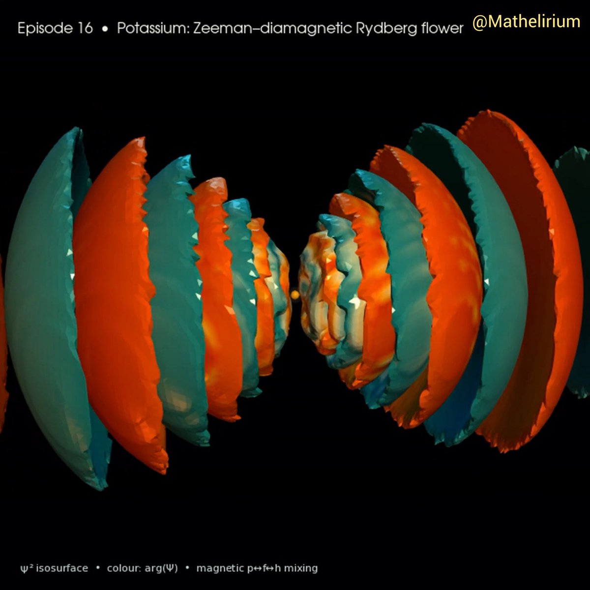 A magnetic field reshapes a Potassium atom's Rydberg electron cloud into a rotating quantum flower.