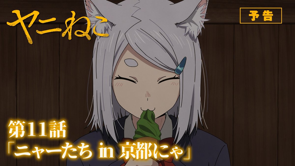 第11話 詳細公開!  ̄V ̄ ̄ ̄ ̄ ̄ ̄ ̄ 🚬 第11話「ニャーたち in 京都にゃ」 ▼あらすじ、先行カット公開! 📺TVアニメ『#ヤニねこ』第11話 TOKYO MX、BS11:9/17(木)24:30〜 AT-X:10/3(土)24:30〜 9/17より毎週木曜25:00~Netflixほか各配信サイトにて順次配信開始!