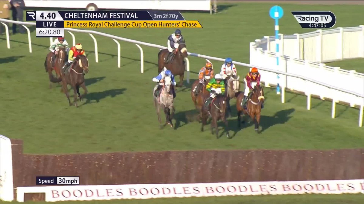😂 Per gideonbrooks, Joe O'Shea on BARTON SNOW: "The owners have been on to me and said where do you want to go this season so I said let’s go and win the Champion Hurdle. "We would send him to Laura Morgan, win the Champion Hurdle."