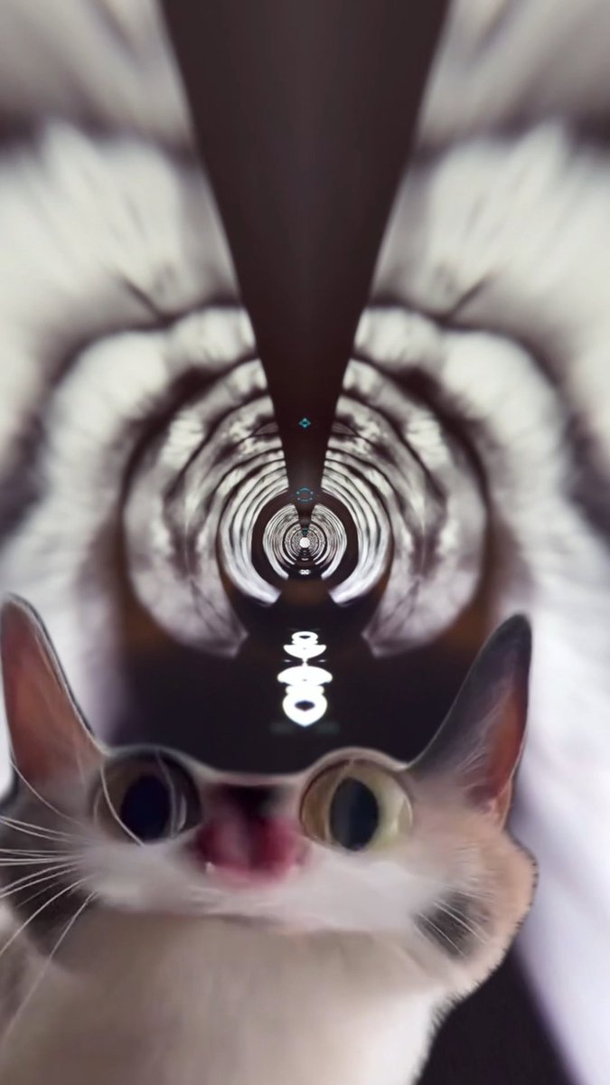 I can't get no meep #meepcat