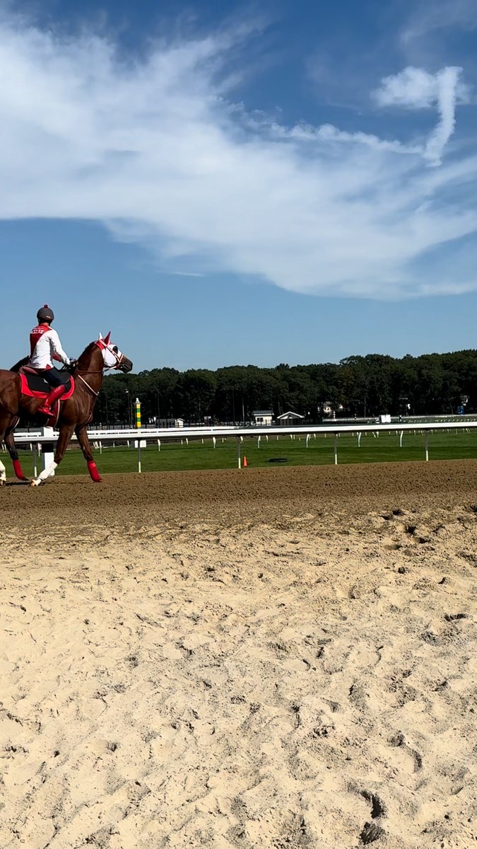All eyes on Forever Young and his buddy Shin Emperor. 👀