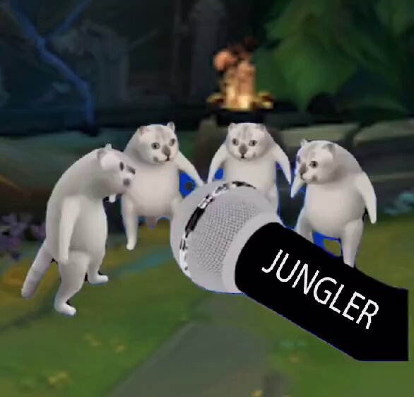 playing jungle in season 16
