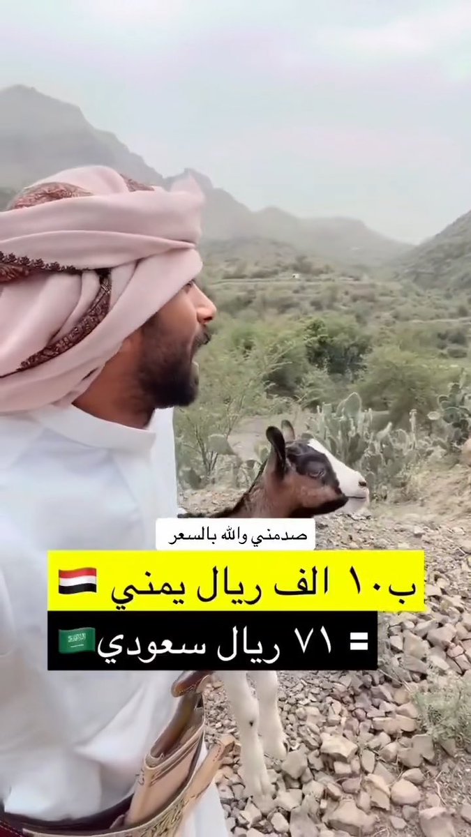 سعر التيس اللباني ب71 ريال في اليمن 🇾🇪 😳 لو عندنا نفس السعر بتعشى كل يوم على تيس😅😅