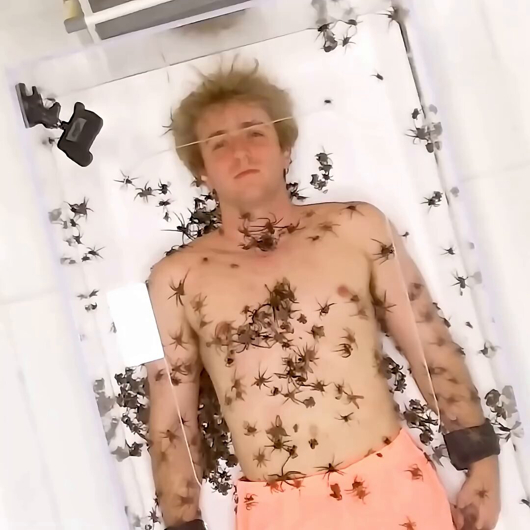 Spend 24 Hours Buried Alive and Win $5 Million