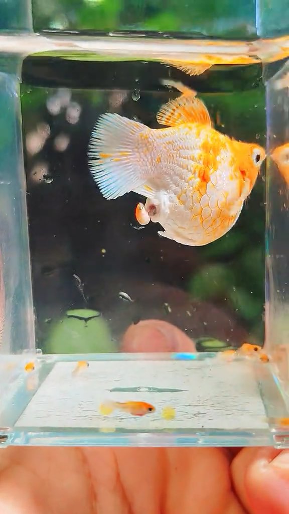この子、小魚をウンチで出した 😍🙄
