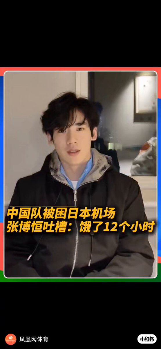 体操中国代表、张博恒選手（かなり有名）に起こった出来事を語ってくれています 有り得なすぎて…怒りを通り越して悲しいです 皆さん、想像できますか？ 僕達は日本で宿泊する場所に着くまでに、なんと丸一日かかりました そして、一番ありえない、一番ありえないことは、↓