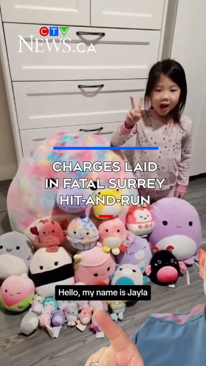 Jayla Chang was killed by Baldeep Chahal of Surrey BC. He struck her and her siblings with his car while intoxicated and fled the scene. He didn’t stop to try to save her. I don’t know what words accurately describe this monster.