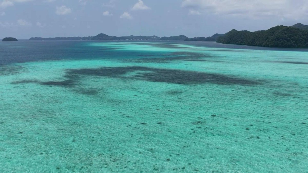 🇵🇼 US military plans in Palau stir fears over war and wildlife Dotted with turquoise lagoons and home to rare dugongs, or sea cows, the Pacific archipelago of Palau is facing the threat of US military expansion.
