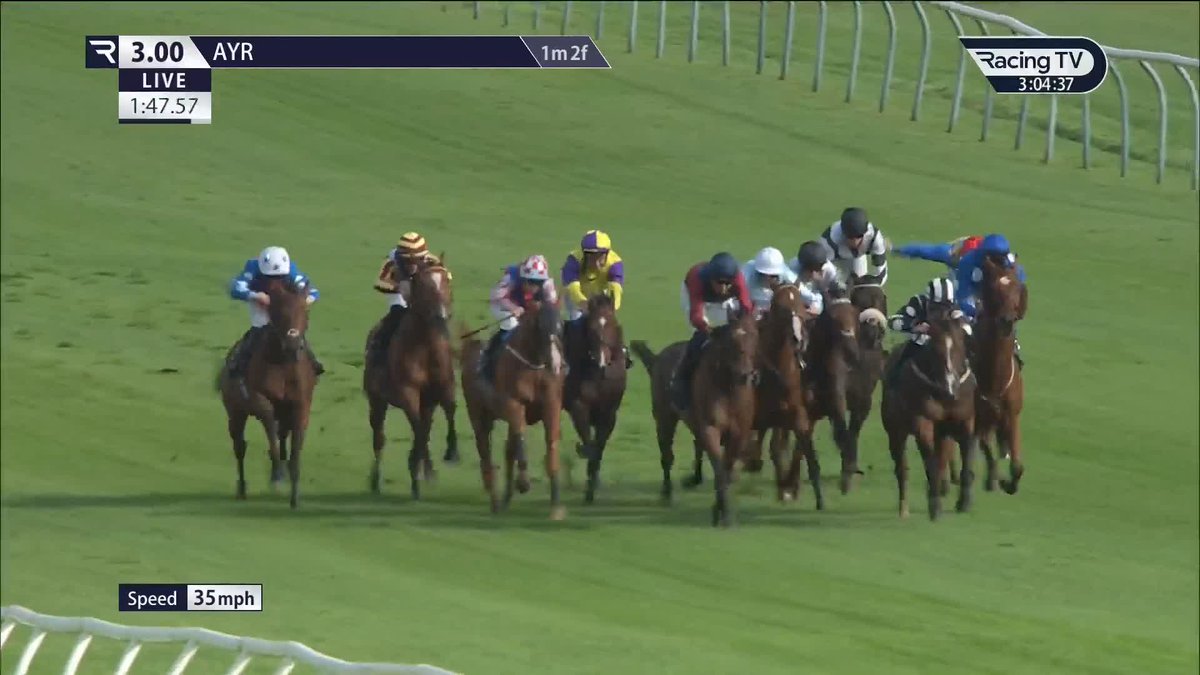 Nice ride from saffie osborne as Wild Thoughts wins the feature Ladbrokes Kilkerran Cup for Richard spencer and Rebel Racing Ayr Racecourse