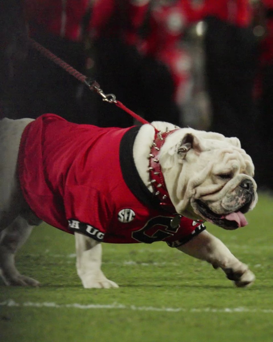 Uga appreciation post. #GoDawgs