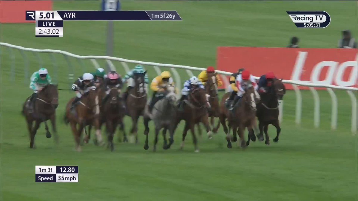 From 18s into 17/2, Pearl Eye doesn't miss in the finale to day one of the Ladbrokes Ayr Gold Cup Festival for that man Jim Goldie Racing Ayr Racecourse