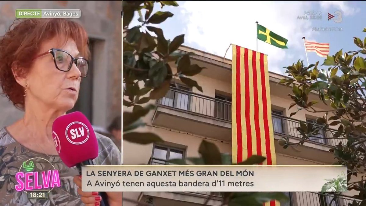 🟢 La senyera de ganxet més gran del món l’han fet a Avinyó i està penjada a la façana de l’Ajuntament. #LaSelva3Cat ▶