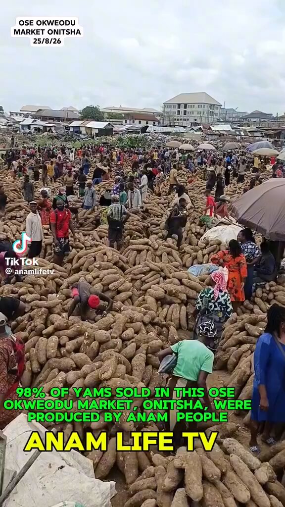 Do we produce enough yam in Anam? I went to this place over the weekend and trailers are loading yam sending them to Lagos, PH, Warri, Benin etc. we need yam processing plants around Anam. We need storage facilities
