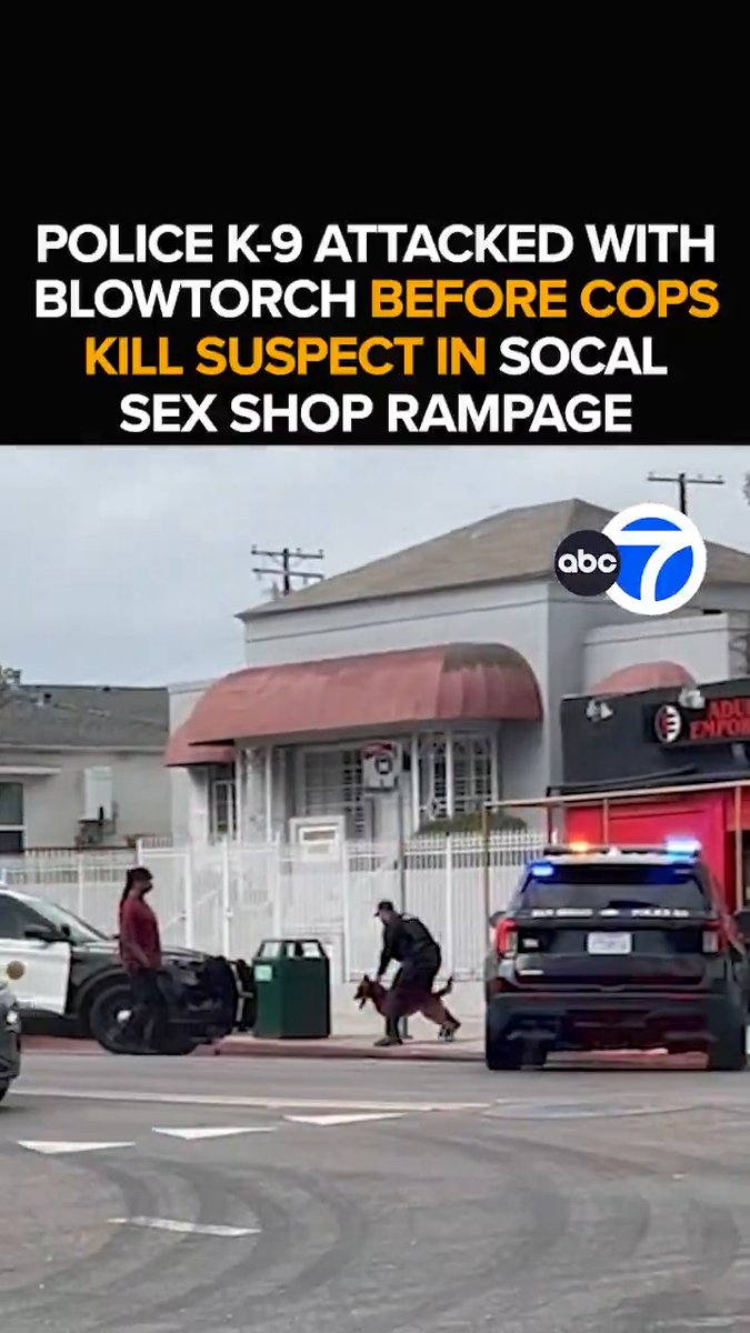 A wild scene inside a San Diego sex shop as a man with a blowtorch attacks a police dog before officers open fire, killing the suspect. The rampage starting as the suspect vandalized cars before being confronted by police. The deadly confrontation - Tonight at 11 from ABC7.