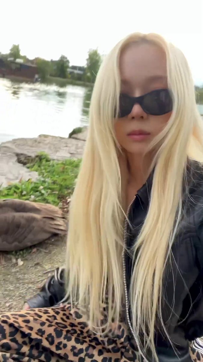 saddle up tiktok with a goose?? 😭