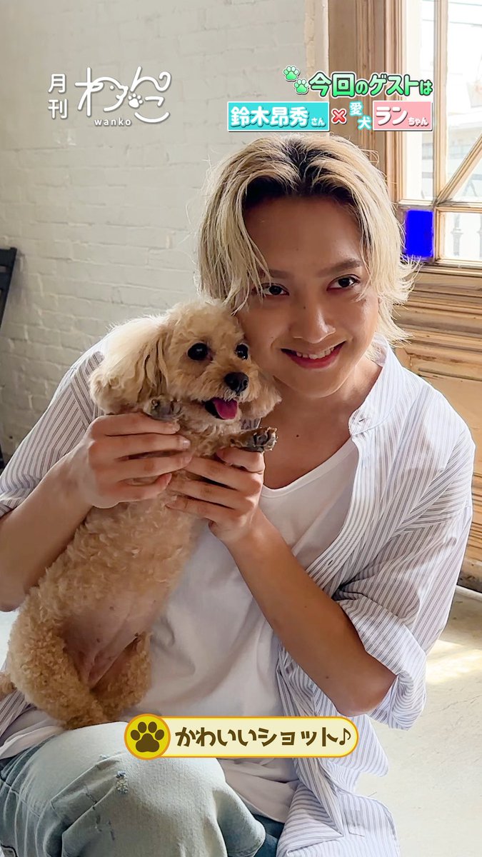 【YouTube】配信しました!🐶 THE RAMPAGE鈴木昂秀さんと愛犬ランちゃんが遊びにきてくれました!(トイプードル|月刊わんこ撮影オフショット)本編はYouTubeへ→ YouTubeより #MA55IVE #THERAMPAGE #鈴木昂秀