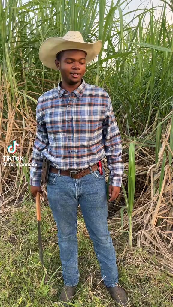 I love all of my Louisiana family. We used to eat sugarcane like this all the time. Yes, all my family speaks like this in the country. Your heir property can make you a lot of money if you lease it to farmers like him.