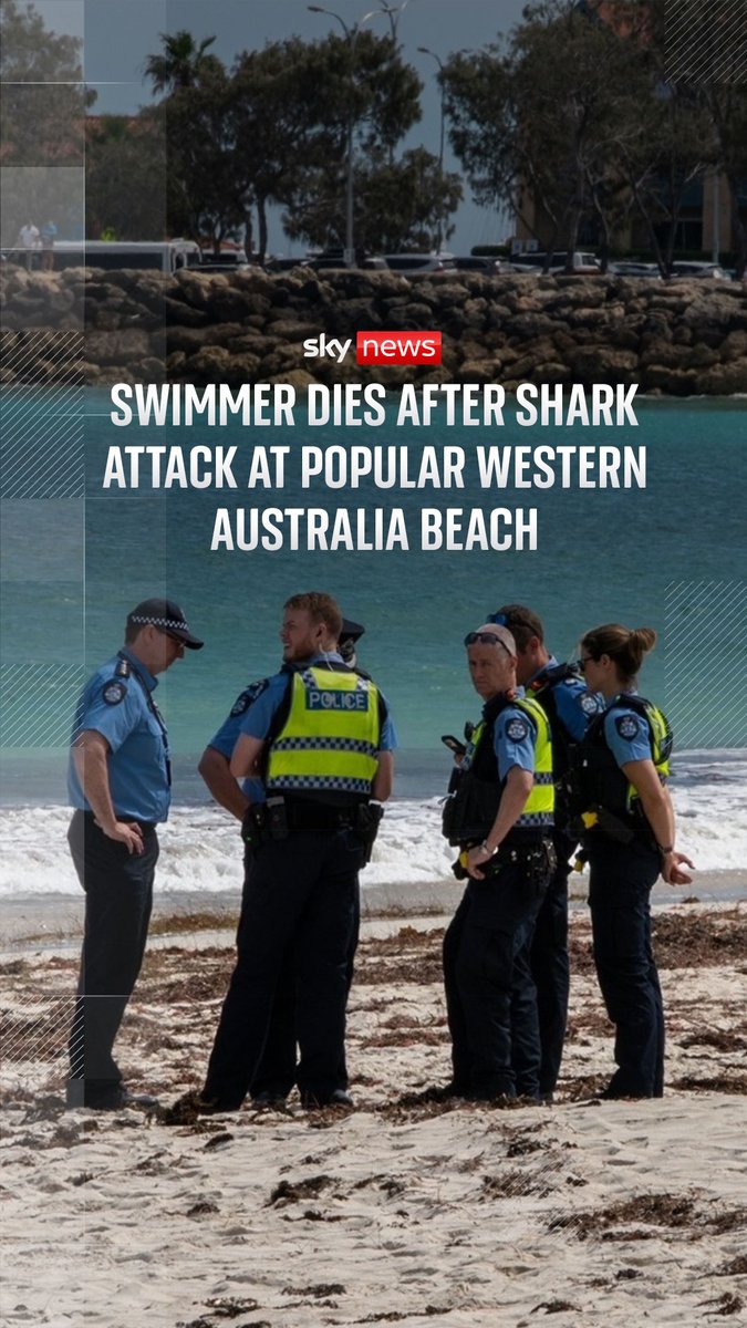 A man has died after being mauled by a shark while swimming at a popular beach in Western Australia. It is the fifth fatal shark attack this year and comes just days after a surfer was attacked and bitten by a shark in the same state. Read more: