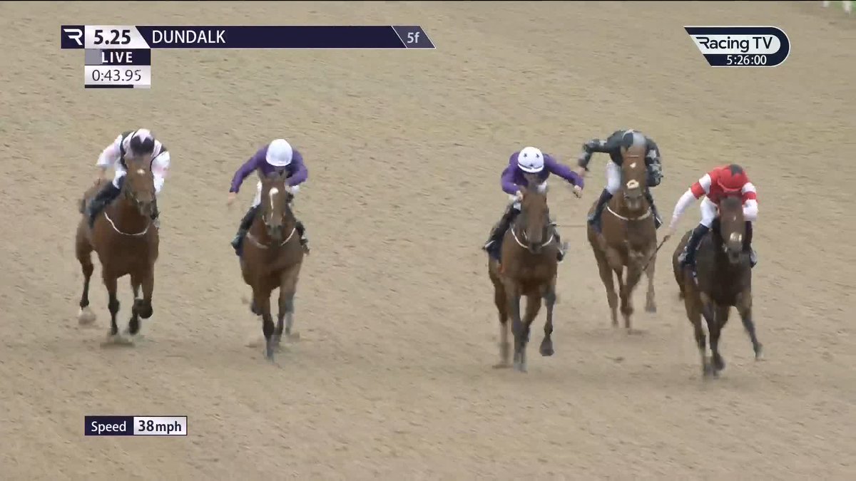 Impressive 🤩 A second career success for Force Noir, who impresses in the Irish Stallion Farms opener Dundalk Stadium for Robson De Aguiar and Ben Coen 🟣