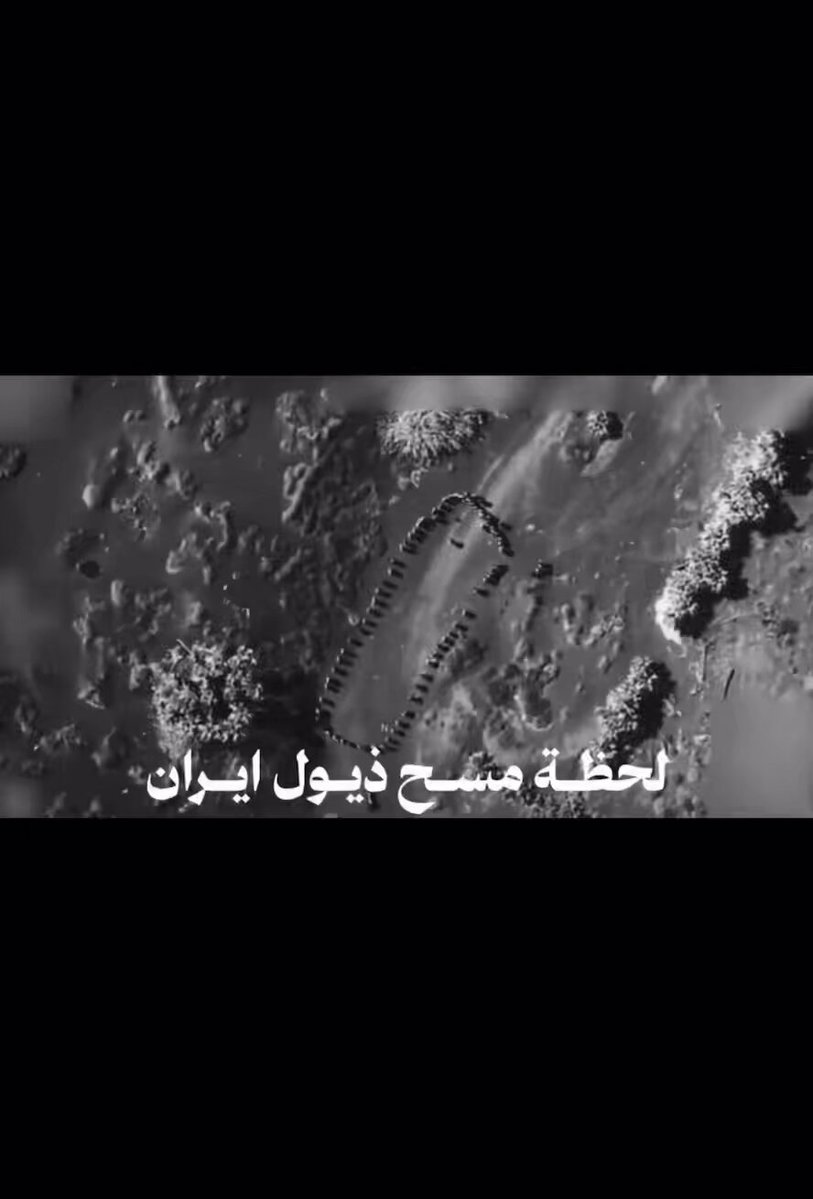 عاجل #الحوثي راح شوايه مع الفحم 🔥😄 🚨 | الموت ل عملاء "#ايران" ⬇️: • لحظة مسح 65 شخصاً من جماعة (#الحوثي) تم مسحهم في ثواني فقط و القادم اجمل 🌪️ " تحرير #صنعاء مسألة وقت ..⏳ "